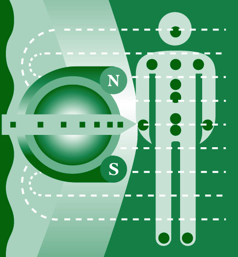 Воздействие постоянного магнитного поля на организм